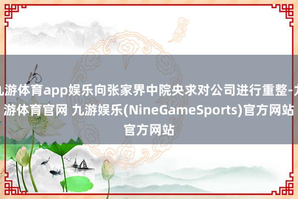 九游体育app娱乐向张家界中院央求对公司进行重整-九游体育官网 九游娱乐(NineGameSports)官方网站