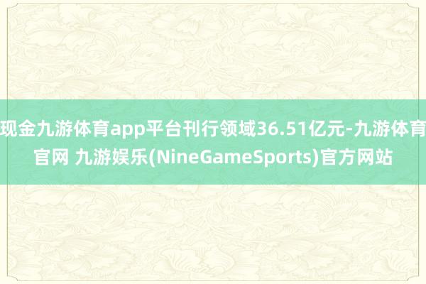 现金九游体育app平台刊行领域36.51亿元-九游体育官网 九游娱乐(NineGameSports)官方网站